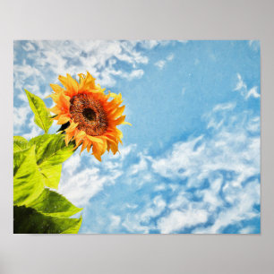 Poster Le Ciel Bleu De Tournesol Et Les Nuages Découpage