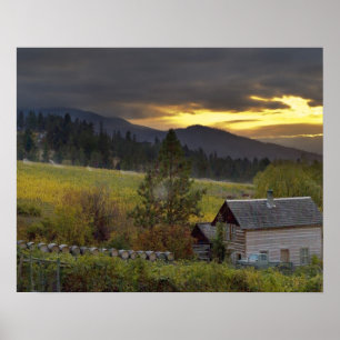 Poster Le ciel couché sur les vignes et le cabine histori