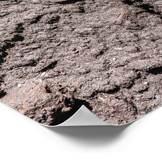 Poster Le Cinquième Est Là-Bas (Coin)