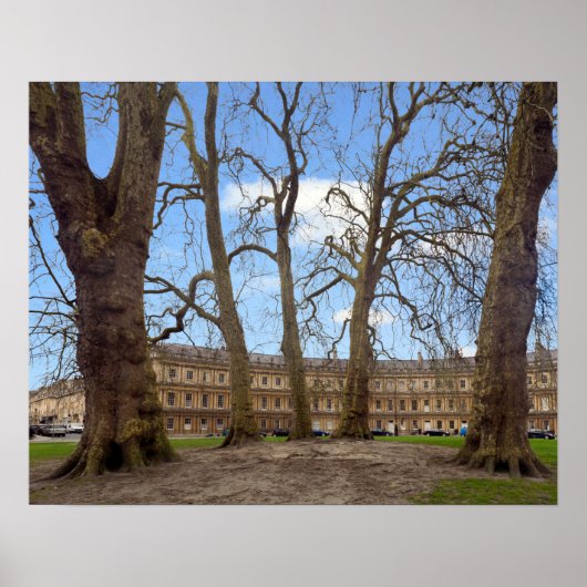 Poster Le Cirque, ville de Bath. (Devant)