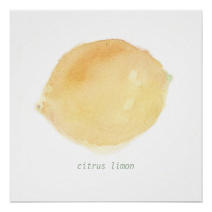 Poster le citron