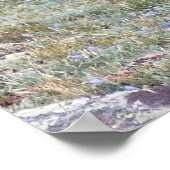 Poster Le club Elks (Coin)