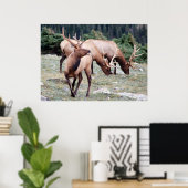 Poster Le club Elks (Bureau à domicile)