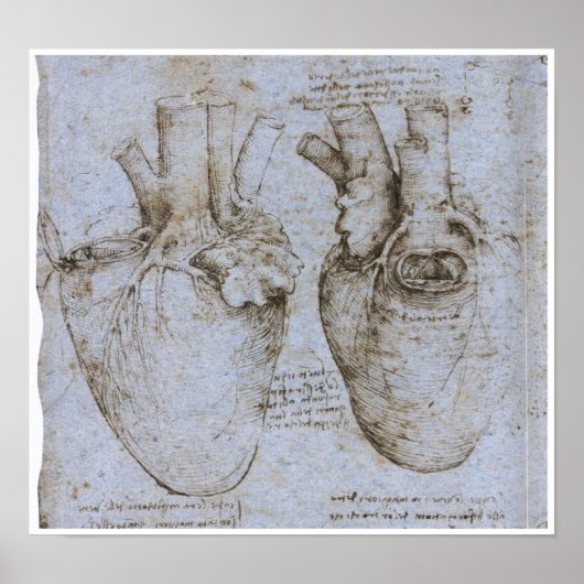 Poster Le Coeur Humain, Léonard de Vinci (Devant)