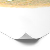 Poster Le coffre volant (Coin)