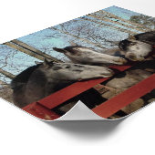 Poster Le coin des commérages (Coin)