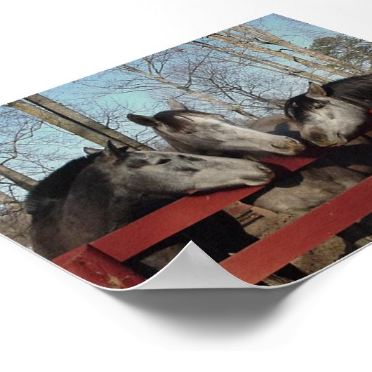 Poster Le coin des commérages (Coin)