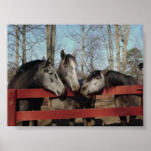 Poster Le coin des commérages (Devant)