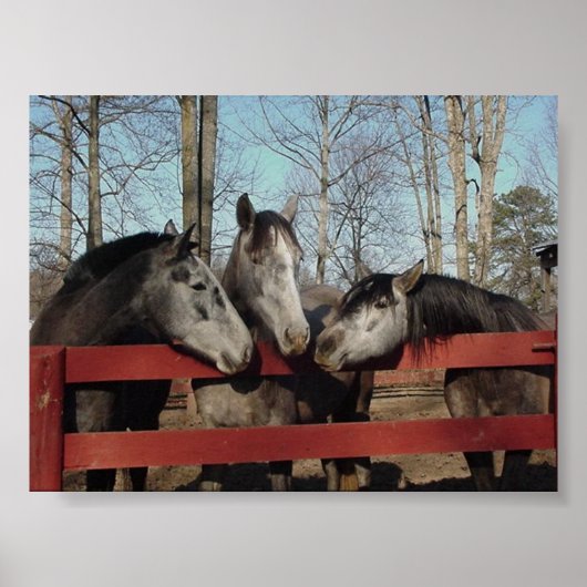 Poster Le coin des commérages (Devant)
