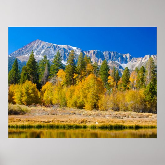 Poster Le col Tioga du Parc national du Yosemite (Devant)