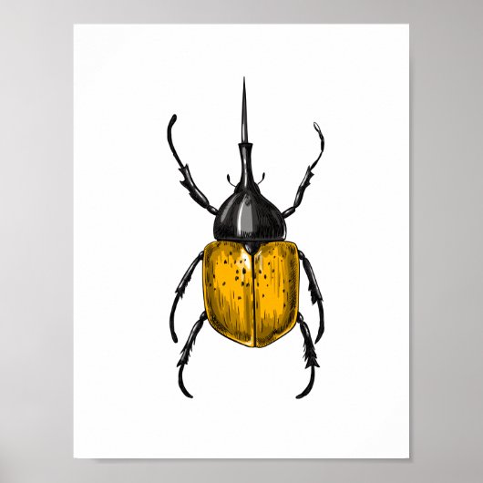 Poster Le coléoptère d'Hercules (Devant)