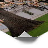 Poster Le collage de la Maison Blanche (Coin)