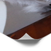 Poster Le Colonel Meow S'Y Est Tenu (Coin)