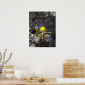 Poster Le combattant, les pandelions sur le rocher (Cuisine)