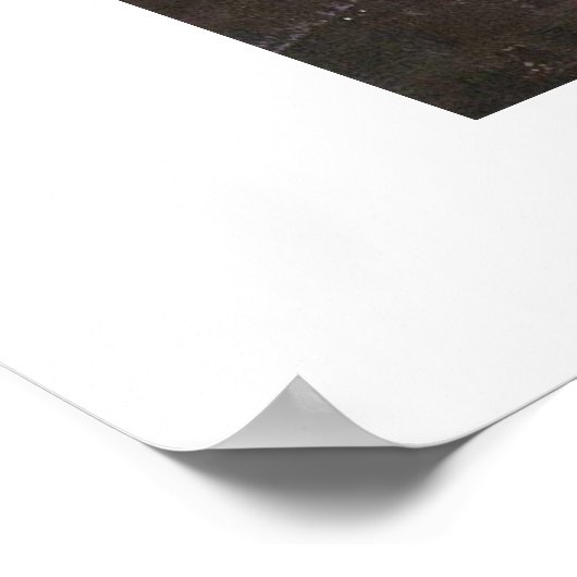 Poster Le Conjuré Par Hieronymus Bosch Workshop (Coin)