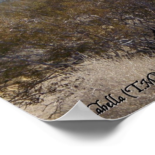 Poster Le contraste (Coin)