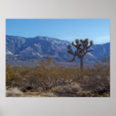 Poster Le contraste (Devant)