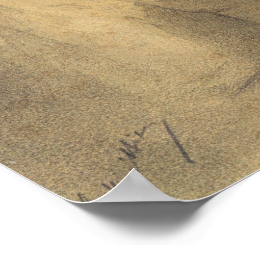 Poster Le contre-sort de l'image (Coin)