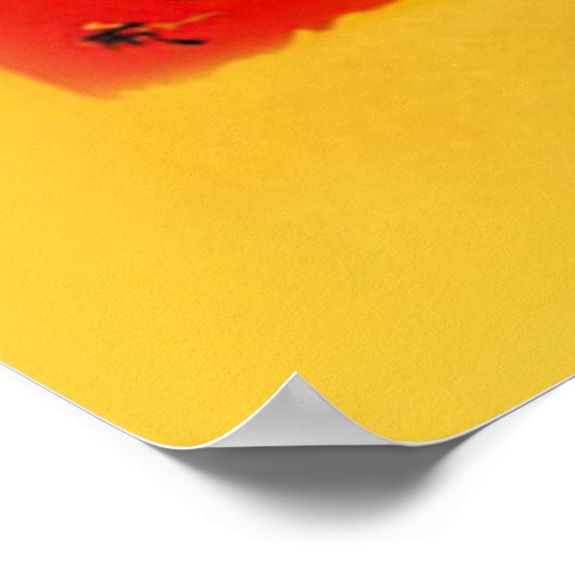 Poster Le Conversation Noir - Joyeux Anniversaire (Coin)