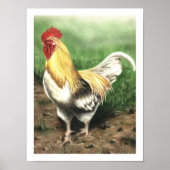 Poster Le coq (Devant)