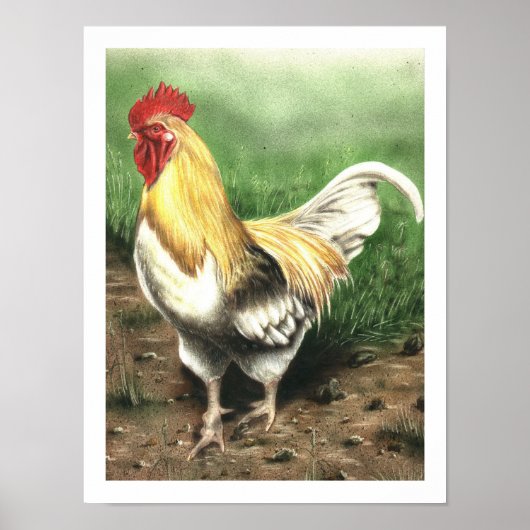 Poster Le coq (Devant)