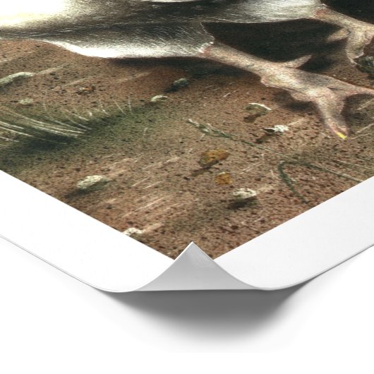 Poster Le coq (Coin)