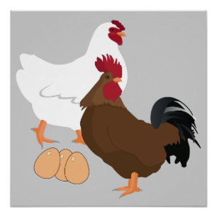 Poster Le coq de poulet Eggs l'affiche (20" x20")