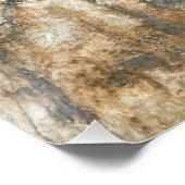 Poster Le Coque Coussin de chat (Coin)