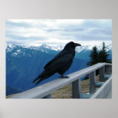 Poster Le Corbeau (Devant)