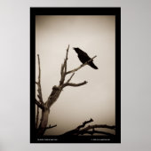 Poster Le Corbeau (Devant)