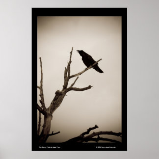 Poster Le Corbeau