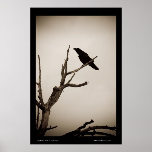 Poster Le Corbeau (Devant)