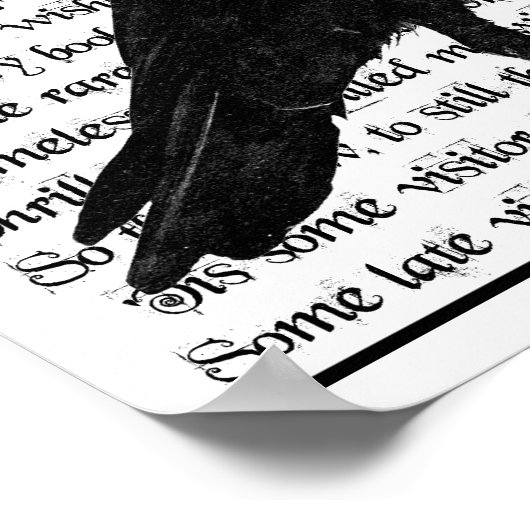 Poster Le Corbeau (Coin)