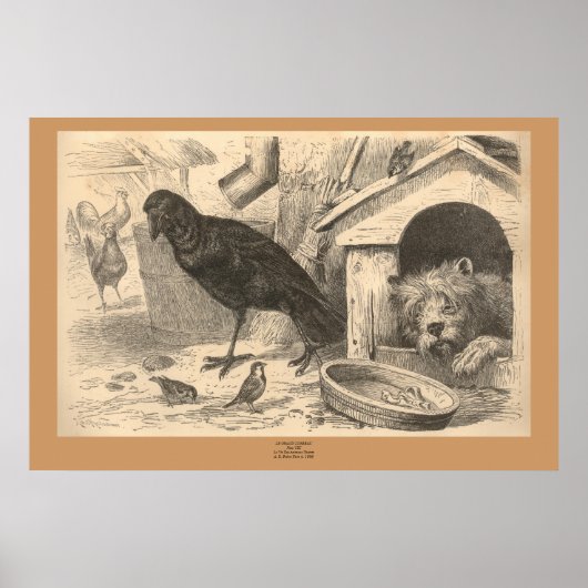 Poster Le Corbeau commun (Devant)