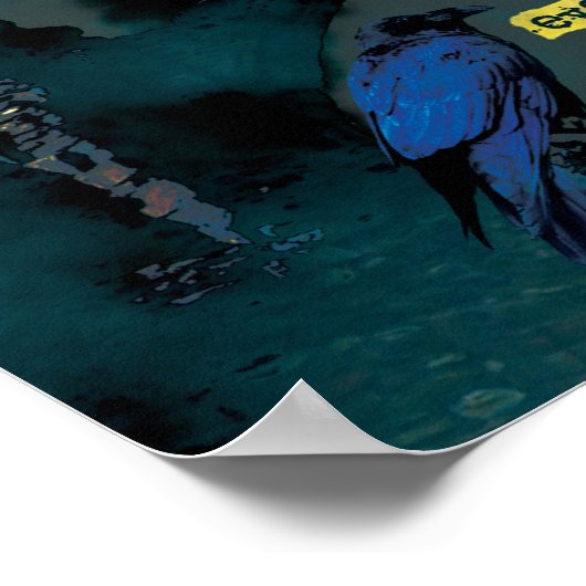 Poster Le Corbeau de Poe (Coin)