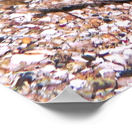 Poster Le corégone de Clarke (Coin)