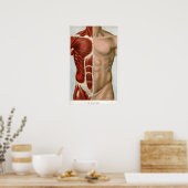 Poster Le corps humain (Cuisine)