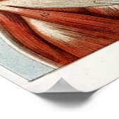 Poster Le corps humain (Coin)