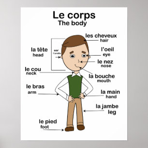 Poster Le corps the body French English Educational