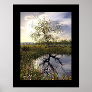 Poster Le côté en noir - obscur de Le côté