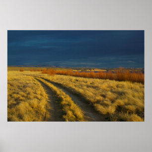 Poster Le coucher de soleil met en valeur l'écorce rouge