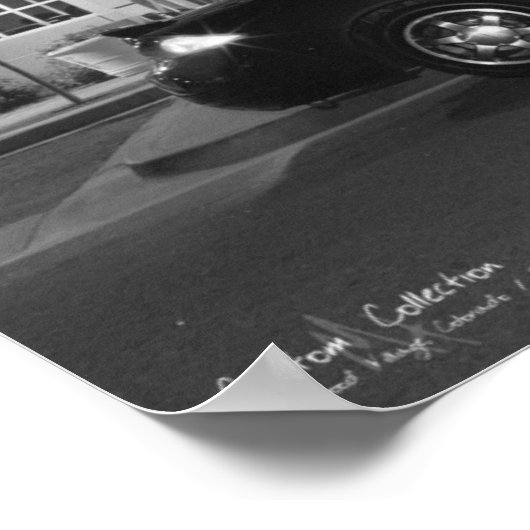 Poster Le Cougar (Coin)