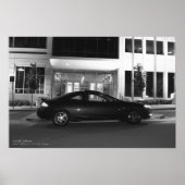 Poster Le Cougar (Devant)