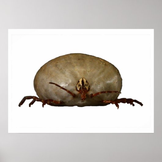 Poster Le coup (Devant)