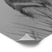 Poster Le Coup de la Litter (Coin)