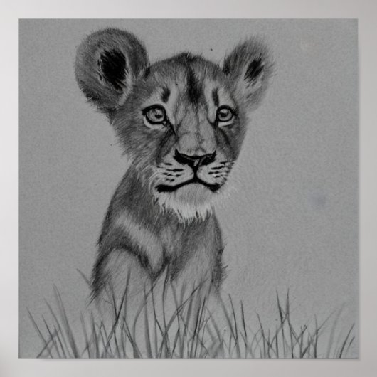 Poster Le Coup de la Litter (Devant)