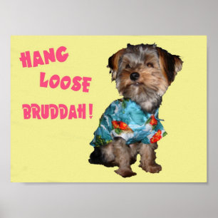 POSTER LE COUP DESSERRENT BRUDDAH