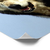 Poster Le couple Alpha Wolf (Coin)