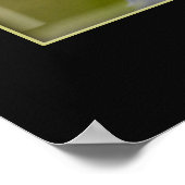 Poster Le courage ne rugit pas toujours (Coin)