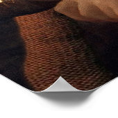 Poster Le cousin austral de Mona Lisa (Coin)